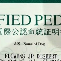 『犬の血統書』が届いたので確認したら…衝撃的な『本当の名前』がSNSで話題「うちはブロッコリーだった」「フラミンゴでした」と18万再生