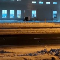 マイナス5度の中、散歩に出かけた犬とお手伝いさん→30分帰ってこないので心配していたら…『衝撃の光景』が28万再生「全然帰る気ないｗｗ」