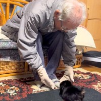 おじいちゃんが『孫の犬に会いたい』と言っていたので、連れて行ったら…あまりにも尊い『初対面の光景』に反響「嬉しそう」「ふたりとも可愛い」