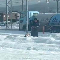 朝、散歩中の犬とパパを『こっそり迎えに行った』結果→犬が先に気づいて…愛おしすぎる光景に74万再生の反響「ひょっこりｗ」「ガン見してる」