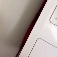 散歩嫌いな犬に『お散歩行きませんか？』とお誘い→洗濯機の横に隠れてしまい…まさかの『シンデレラフィット』が80万再生「食パンみたいｗｗ」