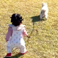 歩けるようになった赤ちゃんが『犬の散歩』に挑戦した結果→確かめるように振り返り…尊すぎる光景に反響「涙出た」「可愛いが可愛いを引いてる」