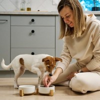 犬との暮らしで覚えておきたい『飼い始めの気持ち』4つ　初心を忘れないために飼い主ができることとは？