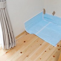 犬の飼い主が難しいと感じる『しつけ』5選　最初が肝心？失敗しないためのコツまで