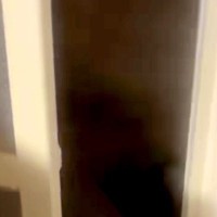 『お風呂場からものすごい音がする』何事かと思い、見に行った結果→『予想外すぎる光景』が73万再生「やめる気なくて草」「反抗的な目ｗｗ」