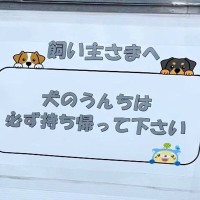 工事現場で見つけた『犬の飼い主に向けた張り紙』→下を見てみると…センスがありすぎる『まさかの配慮』が180万表示「優しい世界」「可愛い」