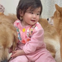 1歳の女の子が『生まれた時から犬と過ごした』結果→言葉は通じなくても…目と目での『意思疎通』が21万再生「本当の兄妹…」「笑顔になる」