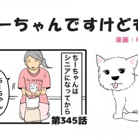 ちーちゃんですけどもっ【第345話】「できないんでなくてやりたくないだけ」