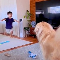 幼稚園から帰った小さな男の子→すぐさま『大型犬』に抱き着いて…ずっと見ていたい『ただいま』が19万再生「微笑ましい」「素晴らしい家族」