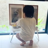 亡くなった愛犬の命日、遺影の前にお供え物をしたら…2歳の男の子がみせた『優しい行動』が尊すぎる　胸がじんわり温かくなる光景に反響