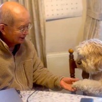 『近所のおじいちゃんの家』に遊びに行った犬→ずっと見ていたくなる『尊いやり取り』に2万いいね集まる「両方可愛いｗ」「アゴの出し方最高」