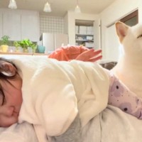 お腹の上で赤ちゃんを寝かしつける母親→犬も一緒に乗ってきて…幸せ過ぎる『家族愛を感じる光景』が話題「AIかと」「一緒に寝たかったのかな」