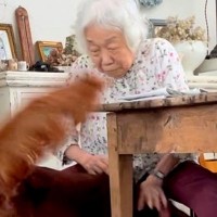 認知症になった『90歳のおばあちゃん』に突撃する大型犬→『微笑ましいやり取り』が22万再生「なんて素敵な時間」「足さばきが若者のよう」