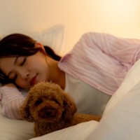 犬が『布団を好む』理由５選　一緒に寝たがる心理や意外と知らないリスクまで解説