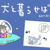 犬と暮らせば【第527話】「言ってはいけない②」