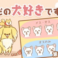 ただの犬好きです。【第348話】「嬉しい表情」