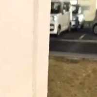 散歩中、呼んでも来てくれない犬→物陰に隠れてみた結果…あまりにも愛おしい反応が話題に「2段階ジャンプ可愛すぎるｗ」「カンガルーかｗ」