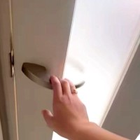 愛犬たちと『3秒間だけ』離れてみた結果→ドアを開けた瞬間に…予想を超える反応が愛おしすぎると6万再生「可愛いが渋滞」「最高な空間」と絶賛