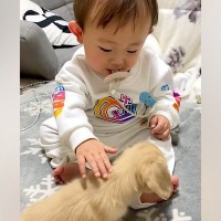 赤ちゃんが『子犬と出会った』結果→優しく触れあって…お互いが見せた『はじめましてのご挨拶』が331万再生「感動した」「可愛すぎてため息」