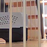 留守番中の犬を見ようと『見守りカメラ』を覗いた結果→姿が見えないと思った、次の瞬間…想定外の光景が19万表示「待たせたなｗｗ」「可愛い」