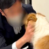 『臭いから、犬なんて絶対に飼わない』と言う旦那→半年かけて洗脳した結果…『まさかの溺愛』が13万再生「沼にハマったｗｗ」「素敵なパパ」