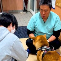 獣医師とケンカしている犬→『お姉さん』が現れた途端に…『まさかの診断結果』が下される瞬間が9万再生「反応の差ｗｗ」「分かりやすい」と爆笑