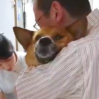 『爪を切られているだけです』病院に爪切りをしにきた犬→まるで『この世の終わり』かのような叫びが36万再生「人間の雄叫びｗ」「頑張った」