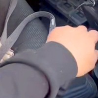 車の助手席に座る犬→飼い主が『シフトレバーの上に手を置いた』瞬間…まさかの光景が18万再生「強引な彼女ｗｗ」「あざとい女子で草」と反響
