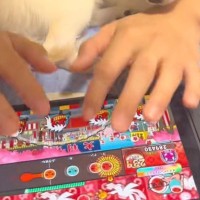 ニンテンドースイッチで『太鼓の達人』をしていたら、犬が甘えてきて…絶対にくつろげていない光景が89万再生「平和な世界」「私なら絶対酔う」