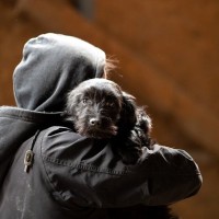 犬が『誘拐されるかもしれない』危険な場所5つ　飼い主が必ず知っておくべき防止策とは？