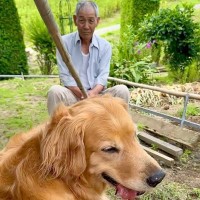 大型犬にイタズラするおじいちゃん→見ていたおばあちゃんが…想像の上をいく『ブチギレ』が13万再生「俺か！？ってなってるｗｗ」「魂の叫び」