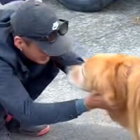 他県から工事のためにやってきた『作業員の男性たち』→散歩中の大型犬が…何度も見たくなる『尊い光景』に反響「大好きなんだね」「羨ましい…」