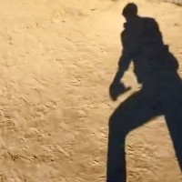 朝、ドッグランに行ったパパ→映像が送られてきて…想像と違った『まさかの光景』に8万いいねの大反響「死ぬほど笑った」「本気の息遣いで草」