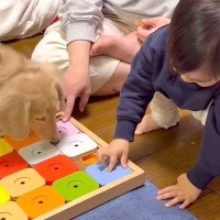 赤ちゃんが『犬のオヤツ』をおもちゃの中へ隠した結果→思いもよらない『まさかのオチ』に反響「爆笑したｗｗｗ」「優しいね」「可愛すぎ」