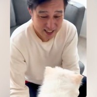 犬を飼うことをずっと反対していた父→飼った子犬と会わせてみた結果…想定外だった『まさかの初対面の様子』が話題「1番甘やかすんだよねｗ」