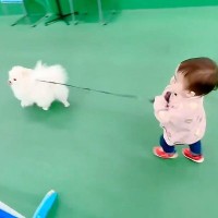 1歳の女の子が『犬の散歩』に挑戦した結果→まさかの『立場が逆転する光景』が可愛すぎると67万表示「家族愛ですね」「優しい」と絶賛の声