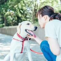 犬を落ち着かせる『声のかけ方』5つ　愛犬が興奮してしまう要因やしつけのポイントまで