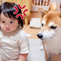 夜ご飯前に仮眠をとろうとしたら『1歳の女の子と犬』がブチギレて…絶対に休めない『カオスな状況』が41万再生「破壊力ｗｗ」「パワフルすぎ」