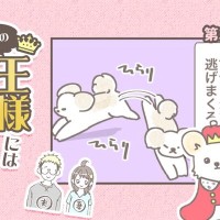 うちの王様にはどうしても抗えない【第344話】「逃げすぎ②」