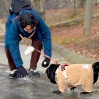 凍った地面の上を歩こうとする男性と犬→もはやコントな『ハプニング』に570万再生の反響「スィーｗｗおもろすぎるｗｗ」「飼い主が危機で草」