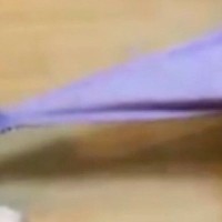 『犬を飼うと、洋服代が…』遊んで！と飼い主を誘う大型犬→思った以上に『豪快な光景』が42万表示「ダメージ凄すぎて草」「世界に一枚だけｗ」