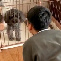 学校の友達と愛犬を会わせた結果→『謎のダンス』を踊り始め…まさかの『シンクロ』が286万再生「無理ｗｗ可愛いｗｗ」「前世から仲良し説」