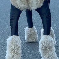 大型犬が汚れないよう『服を着せた』結果→フィットしすぎて…まさかの『脳がバグる光景』が82万再生「ひつじのショーンみたい」「笑った」