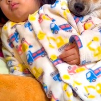 朝、起きたばかりの小さな女の子→なぜか『犬のベッド』に向かって…尊すぎる光景が13万再生「お互いに枕にｗｗ」「なんて可愛いの」と絶賛
