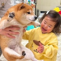 『たかいたかい』をしてもらう1歳の女の子→犬が『羨ましいな』と見つめて…尊すぎるやり取りが28万再生「可愛いが渋滞」「順番待ち偉い」
