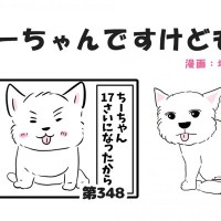ちーちゃんですけどもっ【第348話】「ちーちゃんのおばあちゃん」