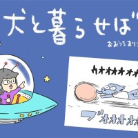 犬と暮らせば【第529話】「それはそれでイヤ」