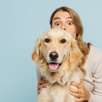 犬を不快にさせる『スキンシップ』５選　知らぬ間に苦痛を与えている可能性も…