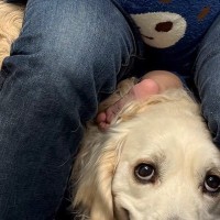 『えへへ…勘弁してください』病院の待合室で診察を待つ大型犬→獣医師が迎えにくると…まさかの『人間のような誤魔化し方と表情』がSNSで話題