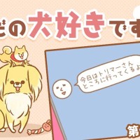 ただの犬好きです。【第350】「思ってたんと違う」
